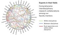 Stringlike sphere shows comprehensive interdisciplinary research collaborations among our faculty mentors